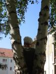 Bild_023